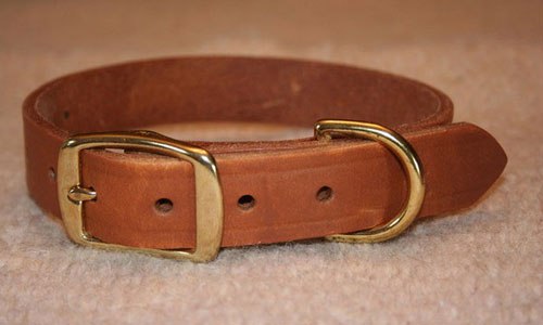 dog-collar-4